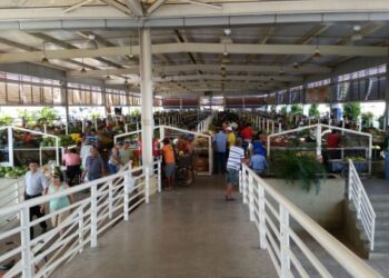 Não haverá alteração no funcionamento das feiras livres de Paulo Afonso este fim de semana