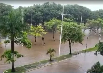 Mais de 65 mil pessoas são afetadas pelas chuvas na BA; 495 estão desabrigados e 8,7 mil desalojados