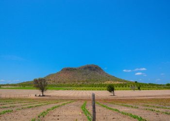 Prefeitura de Glória solicita ao agricultor se cadastrar no Garantia Safra 2022/2023