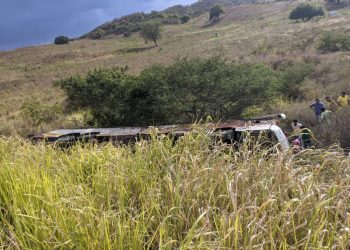 Ônibus da Viação Regional que faz a linha Salvador x Jeremoabo tomba na BR-110; abelhas atacaram motorista