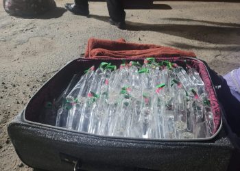 PRF apreende quase 200 frascos de ‘lança-perfume’ que seriam comercializados no Carnaval de Maceió-AL