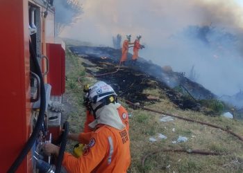Bombeiros apagam incêndio em vegetação nas proximidades do antigo Grande Hotel de Paulo Afonso