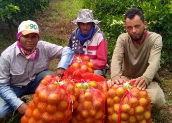 Eletrobras Chesf apresenta em Paulo Afonso resultados do Projeto Lagos de São Francisco