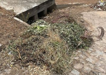 Prefeitura de Glória realiza limpeza nos canais de drenagem das águas de chuva