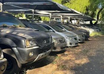 Mais de 60 veículos serão leiloados online pela Polícia Federal na Bahia; confira carros disponíveis