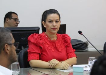 “A falha foi da prefeitura que não fiscalizou”, aponta Evinha na audiência pública sobre o trabalho dos músicos