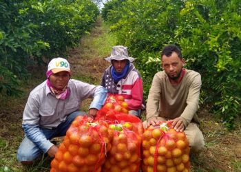 Projeto Lagos do São Francisco é documentado em série de vídeos