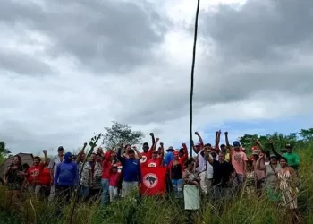 Após deixar área da Embrapa, MST faz três novas invasões de fazendas na Bahia