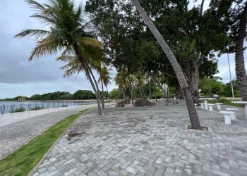 Obras avançam e Parque Belvedere vai ganhando forma com estrutura moderna