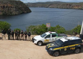 Operação “Arara-azul-de-Lear” – PRF e ICMBio Paulo Afonso unem forças para fiscalização ambiental na Bahia