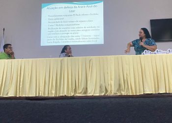 Preservação da arara azul é discutida em Semana do Meio Ambiente de Paulo Afonso