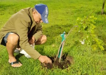 Uma amizade inesperada na Colina do Bomfim (Francisco Nery Júnior)