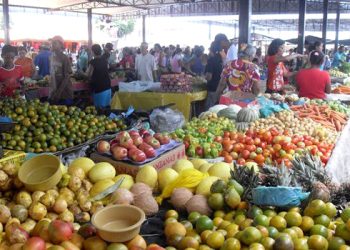 Saiba como será o funcionamento da feira livre no São João de Paulo Afonso