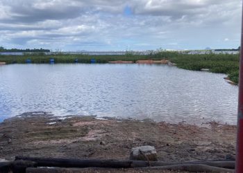 Justiça determina que Chesf retome em 10 dias o fornecimento de maquinário para retirada das baronesas na Prainha