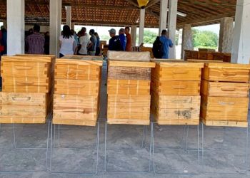 Apicultores de Paulo Afonso recebem caixas de colmeia como incentivo para a produção de mel