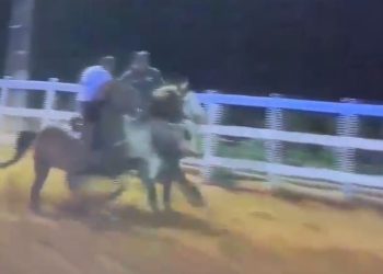 Acidente durante vaquejada em Ribeira do Pombal-BA deixa vaqueiro ferido (Vídeo)
