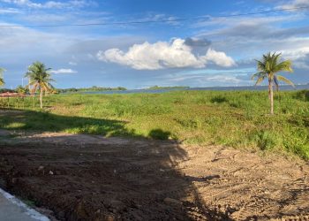 Crônica – As baronesas – heureca, a solução! (Francisco Nery Júnior)