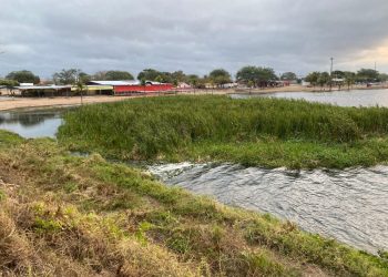 Opinião técnica: “É notório o poder destrutivo das baronesas, por exemplo, no Turismo”