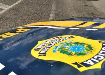 Em Paulo Afonso (BA), PRF intima homem por omissão de cautela na guarda de animais