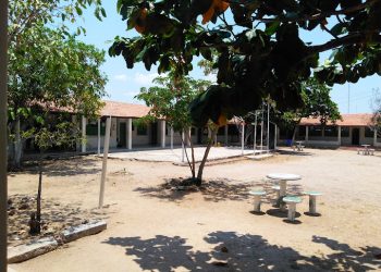 Ciepa, amor à primeira vista (Francisco Nery Júnior)