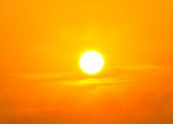 Francisco Nery Júnior: “Onda de calor”