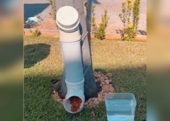 Comprometimento e sensibilidade em um posto de gasolina (Francisco Nery Júnior)