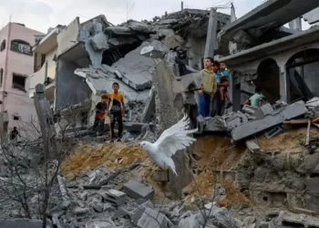 GUERRA – Mulheres e crianças são maioria dos mortos palestinos, dizem autoridades