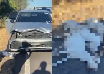 Animais soltos em rodovia federal provocam acidente no acesso à Barragem Leste e cinco bodes morrem