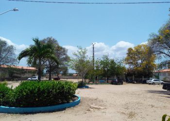 CRÔNICA – Severino do Cetepi, um presente de Natal – Árvores morrendo na cidade (Francisco Nery Júnior)