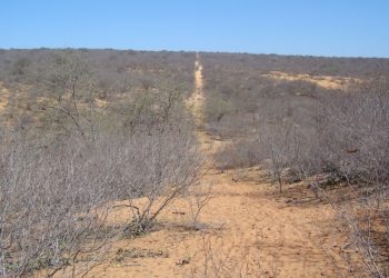 Prefeitura decreta situação de emergência devido à estiagem em regiões de Paulo Afonso