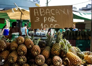 CRÔNICA – Três abacaxis por dez reais (Francisco Nery Júnior)
