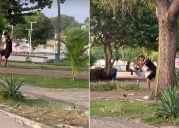 Paulo Afonso: vídeos flagram vândalo destruindo luminárias da praça pública do “Touro e a Sucuri”