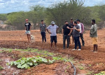 Aração de terra tem continuidade e beneficia Aldeia Truká-Tupan