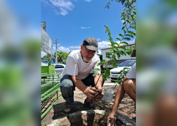 CRÔNICA – VIcente, o poeta das árvores (Francisco Nery Júnior)