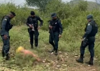 Resgate em Canindé de São Francisco-SE: mulher desaparecida há 20 dias é encontrada pela PM com pouca consciência e desidratada; caso envolve ex-companheiro (ENTENDA)