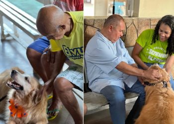 Idosos da Casa de Repouso São Vicente de Paulo recebem visita do cão Brad: “driblar a solidão”