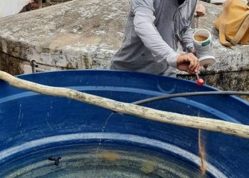 Com chegada das fortes chuvas, Zoonoses intensifica ações de combate ao mosquito da dengue com visitas e caminhada de conscientização