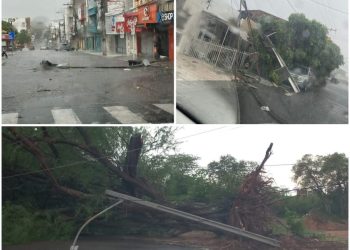 [VÍDEOS E FOTOS] Chuvas e vendaval derrubam telhados, placa de loja, semáforo, postes e mais de 25 árvores em Paulo Afonso; nas orlas de Glória e Petrolândia, mesas e cadeiras “voam”