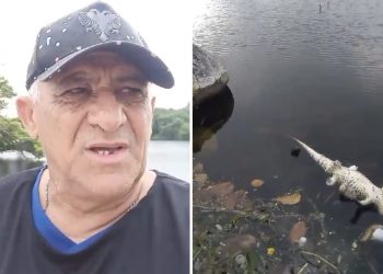 Crime ambiental em Paulo Afonso (BA): cercado de lixo, jacaré é encontrado morto no lago do Capuxu (VÍDEO)