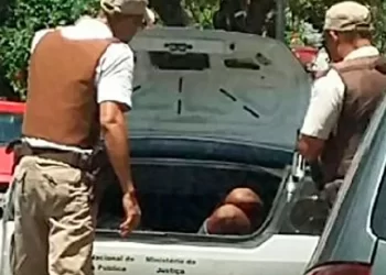 Filho visivelmente embriagado destrói móveis e causa estragos na casa de sua mãe em Paulo Afonso, diz polícia