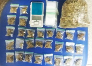 Mulher sob monitoramento eletrônico é presa com vários pacotes de maconha em Paulo Afonso