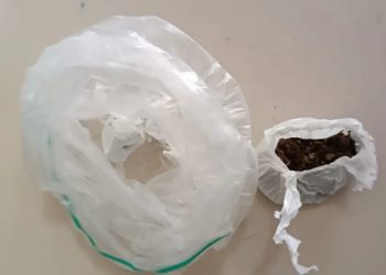 Polícia desarticula ponto de tráfico de drogas em residência desabitada no BTN II