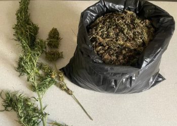 20º Batalhão de Polícia Militar realiza apreensão de drogas na zona rural de Abaré-BA