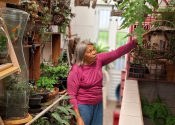 CRÔNICA – Eva uma amante das orquídeas (Francisco Nery Júnior)