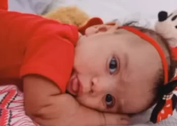 Bebê de 5 meses morre após ataque de cachorro em GO; pais a deixaram sozinha para comprar bebida para churrasco