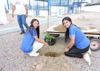 Plantio de mudas é realizado no Campus da Univasf