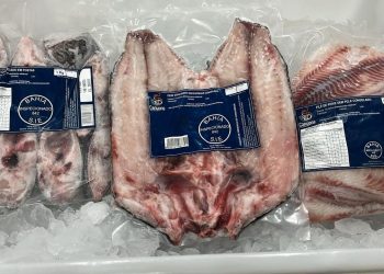 Paulo Afonso adota filé de tilápia na merenda escolar da rede municipal