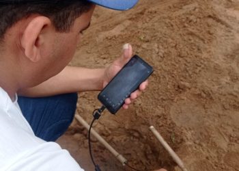 Gato de água escondido em alicerce de imóvel é descoberto em Ribeira do Pombal