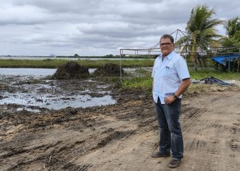 Daniel Luiz: “A verdade sobre as baronesas e as mentiras políticas que proliferam em Paulo Afonso”
