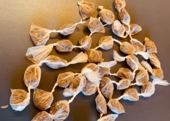 Polícia Militar prende suspeito com 41 porções de drogas em Glória-BA